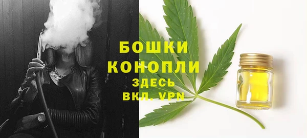 шишки Магас