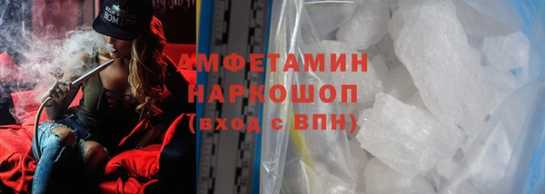 шишки Магас