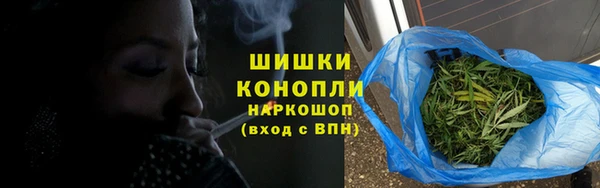 шишки Магас