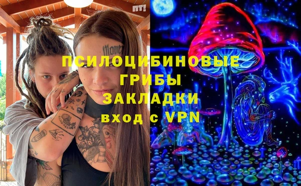 шишки Магас