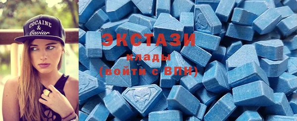 шишки Магас