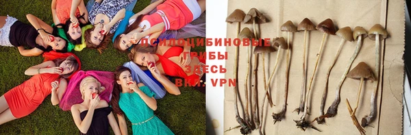 гашишное масло Медногорск