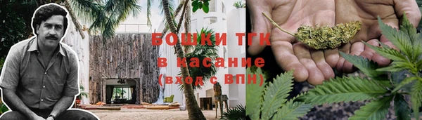 ПСИЛОЦИБИНОВЫЕ ГРИБЫ Медвежьегорск
