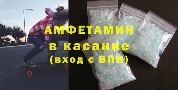 шишки Магас